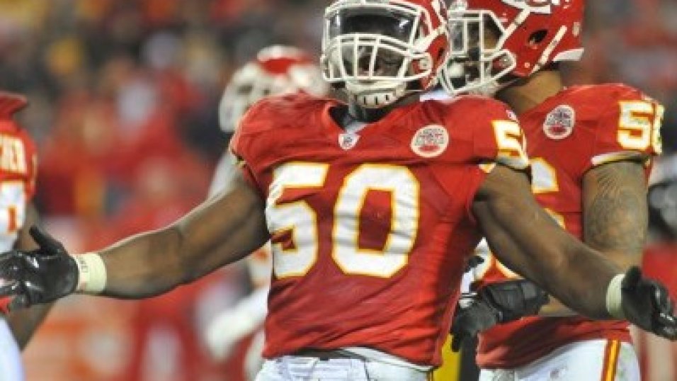 Defensive lineman Darryl Sims of the Pittsburgh Steelers looks on