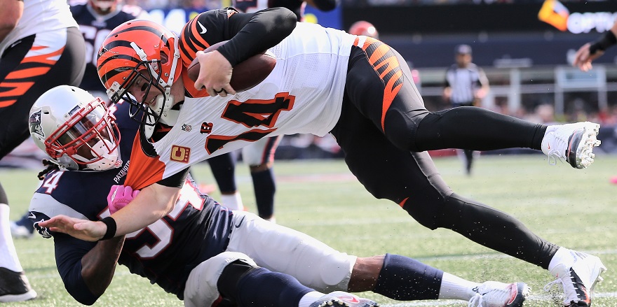 Cincinnati Bengals QB Andy Dalton