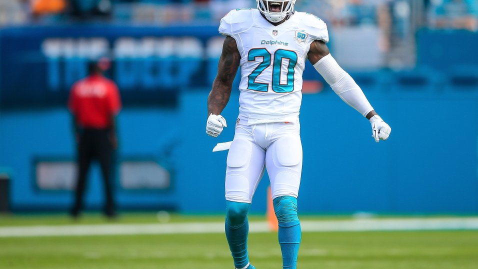 Miami Dolphins 2018 depth chart and roster breakdown: Reshad Jones