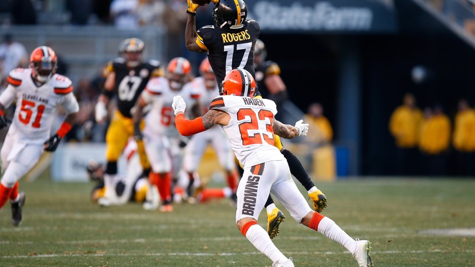 Joe Haden News, Career, Stats, Fantasy