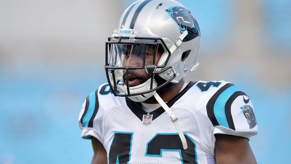 Cornerback Eric Davis of the Carolina Panthers looks on during the