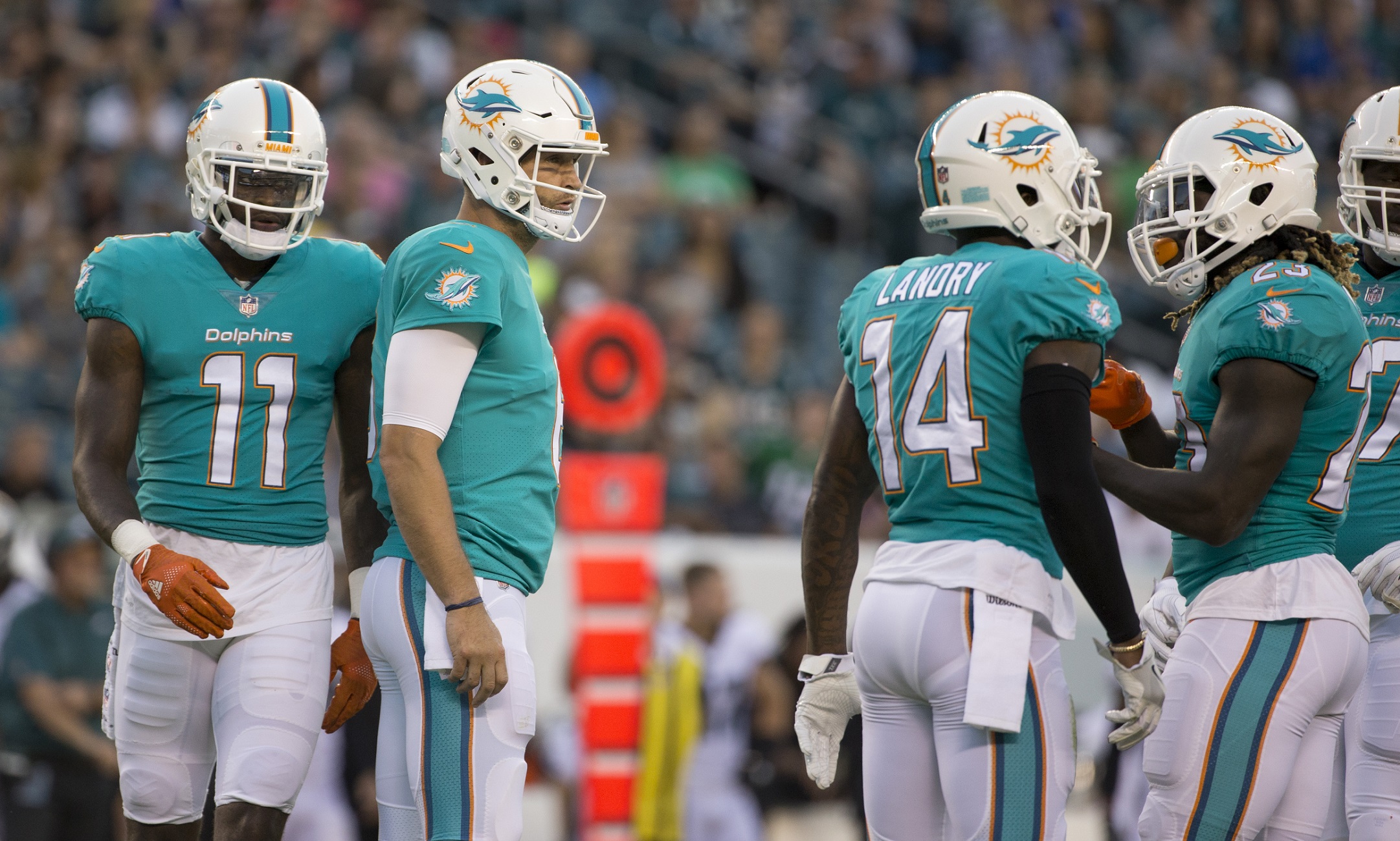 pro-nfl-week-10-preview-dolphins-at-panthers