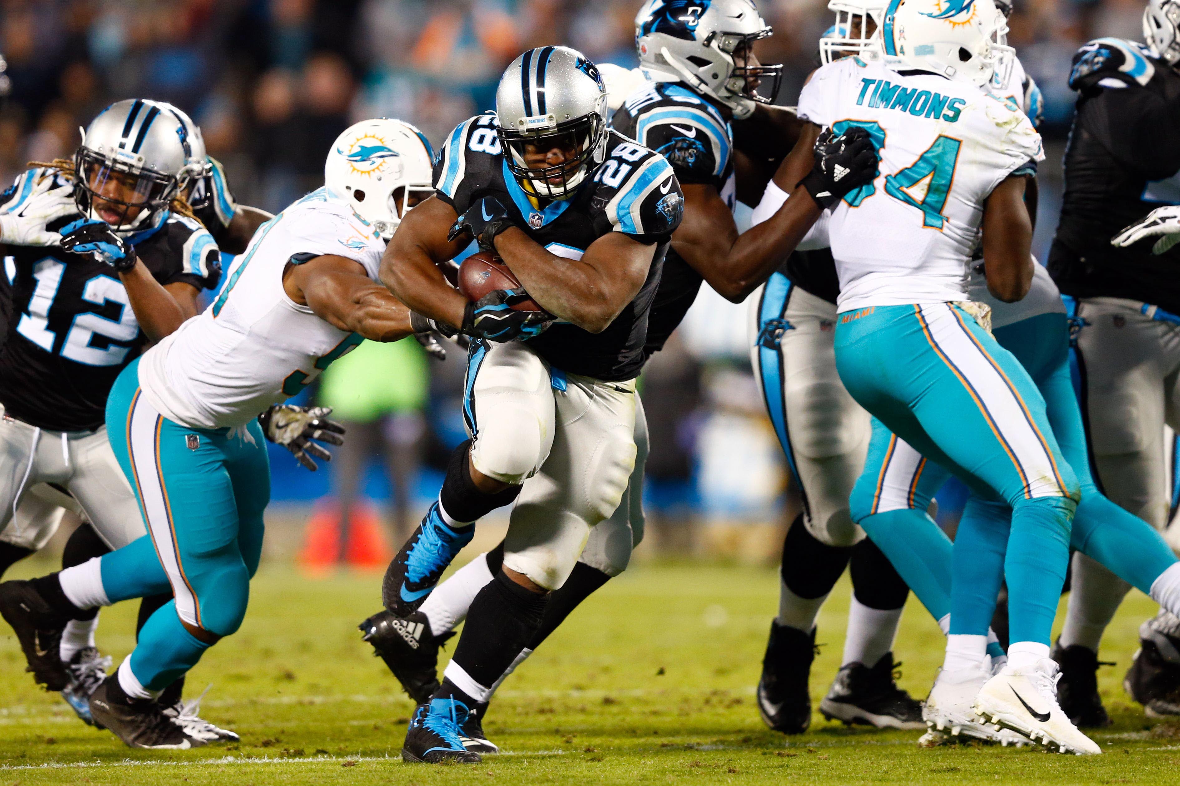 pro-panthers-backfield-strong-in-week-10-win-over-dolphins
