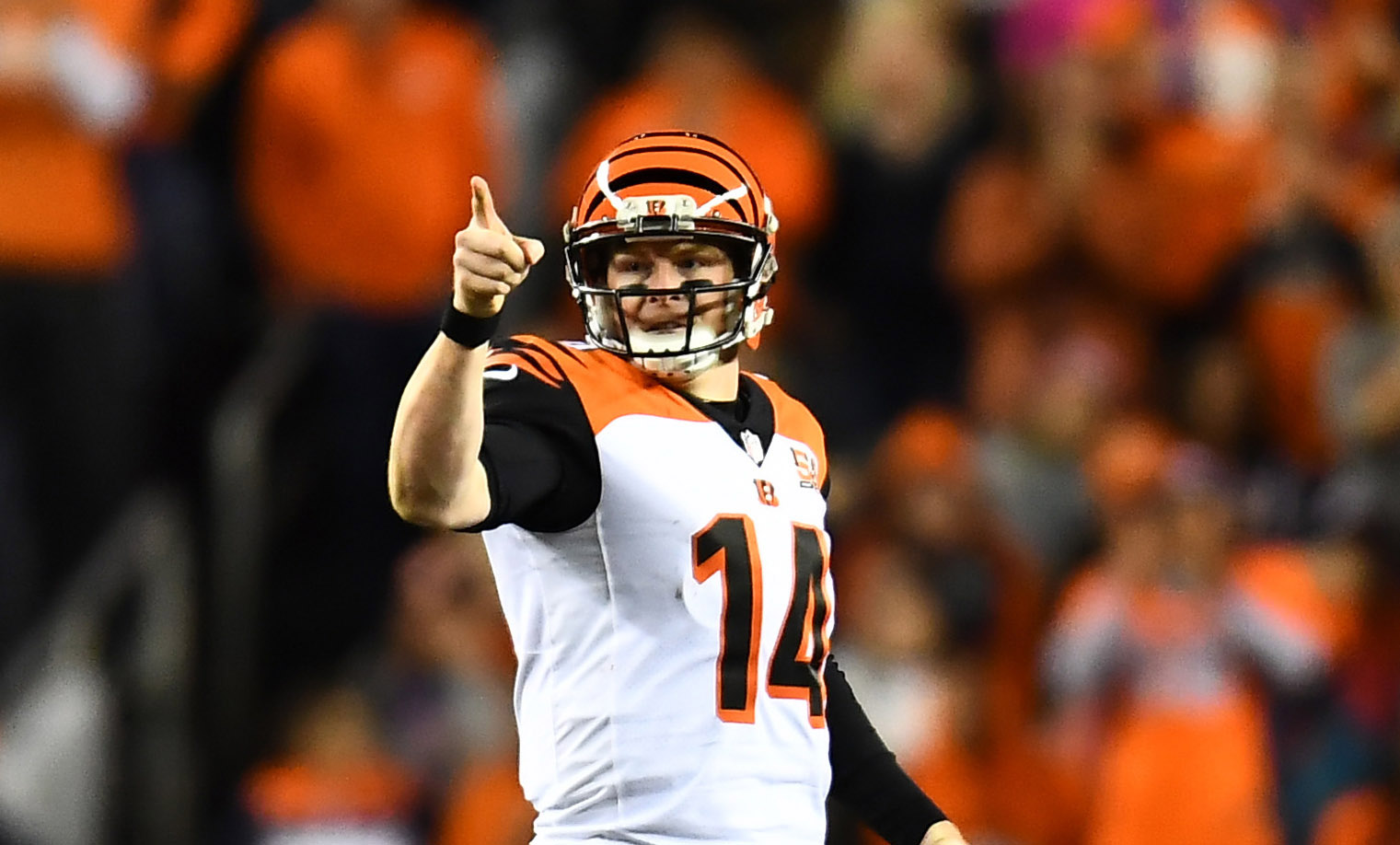 pro-nfl-week-15-preview-bengals-at-vikings