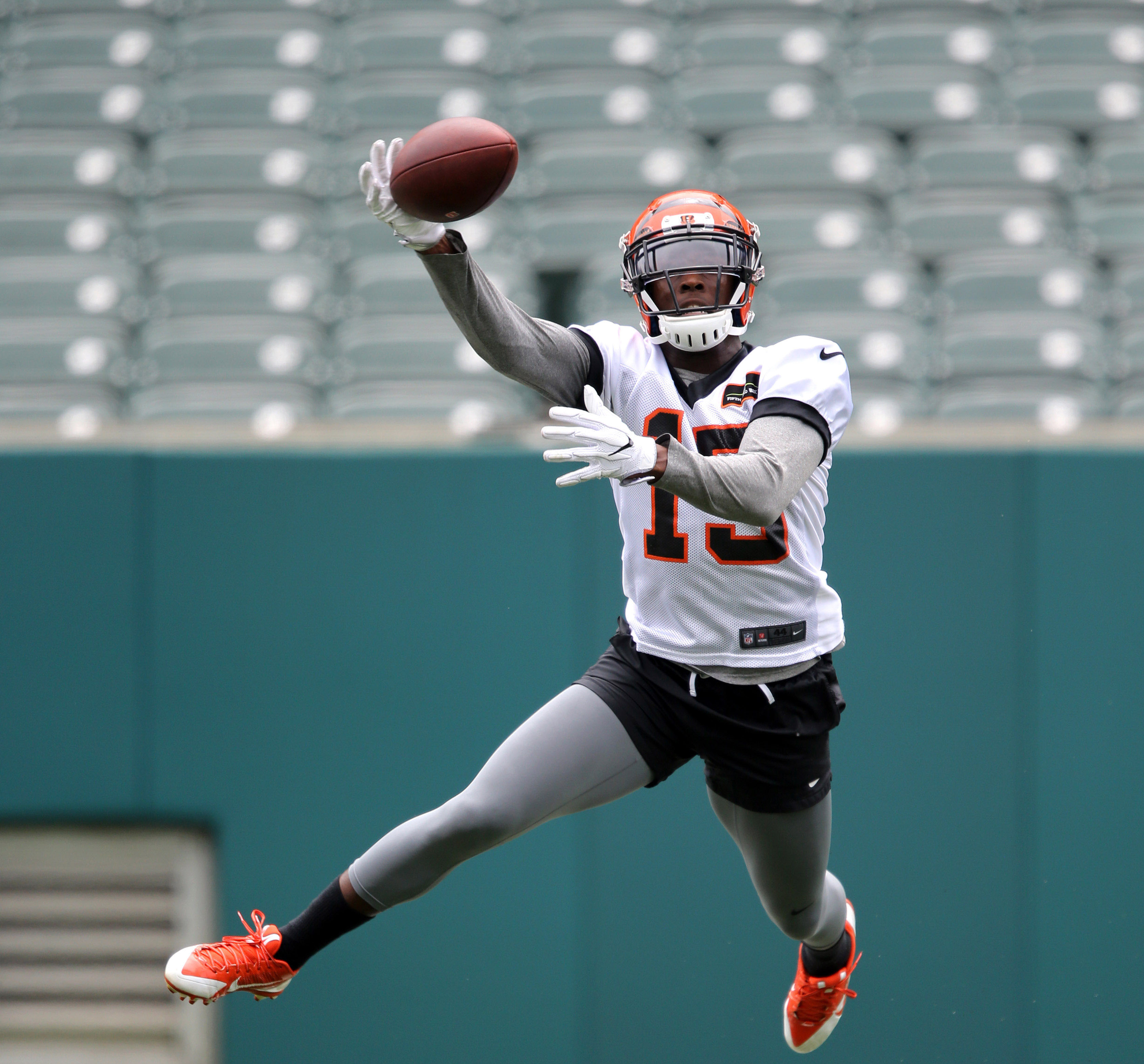 pro-pff-training-camp-preview-bengals