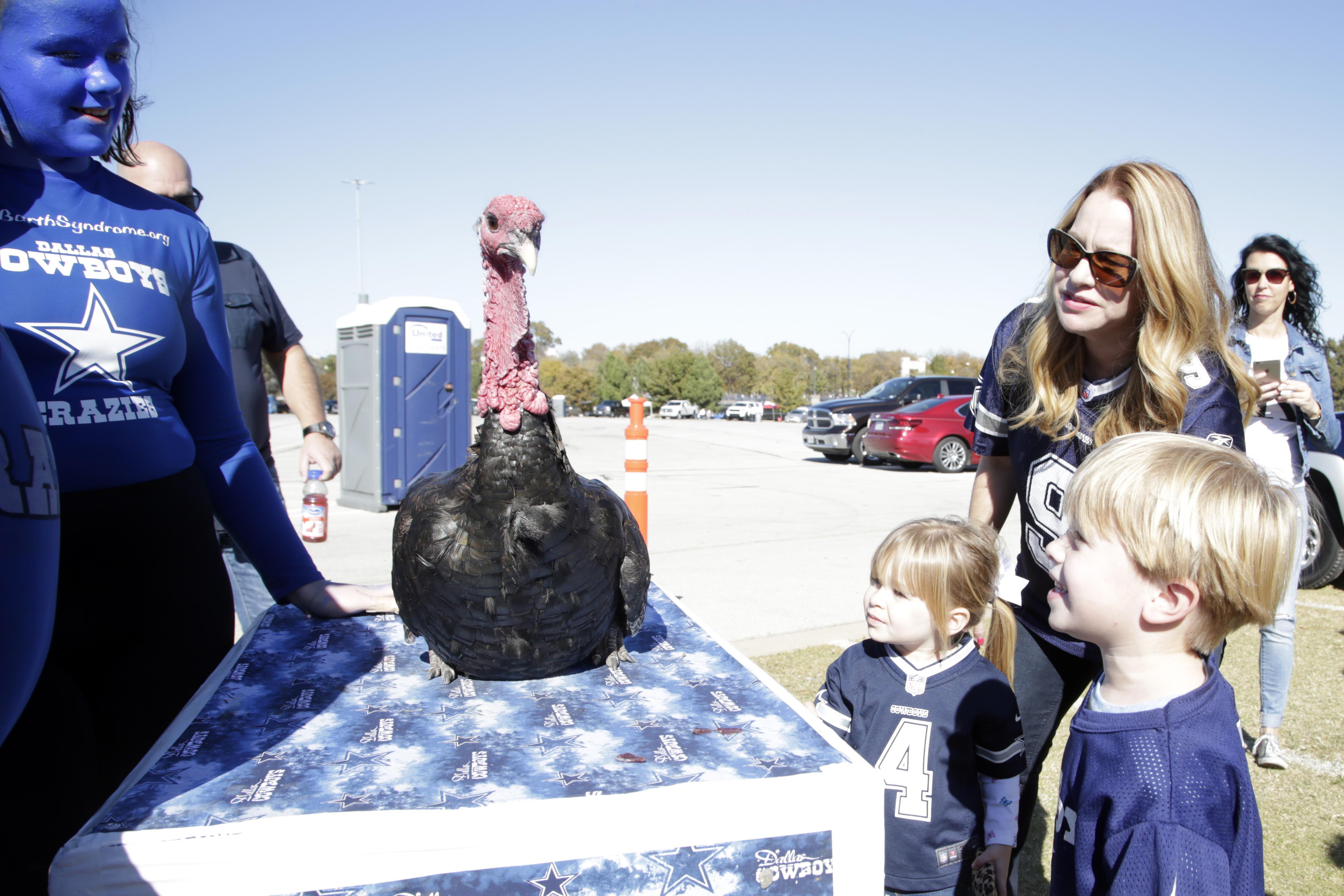 pro-2018-nfl-week-12-spread-overunder-picks-thanksgiving-edition