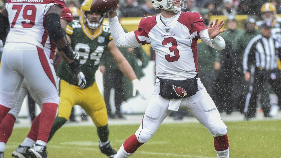 cardinals packers
