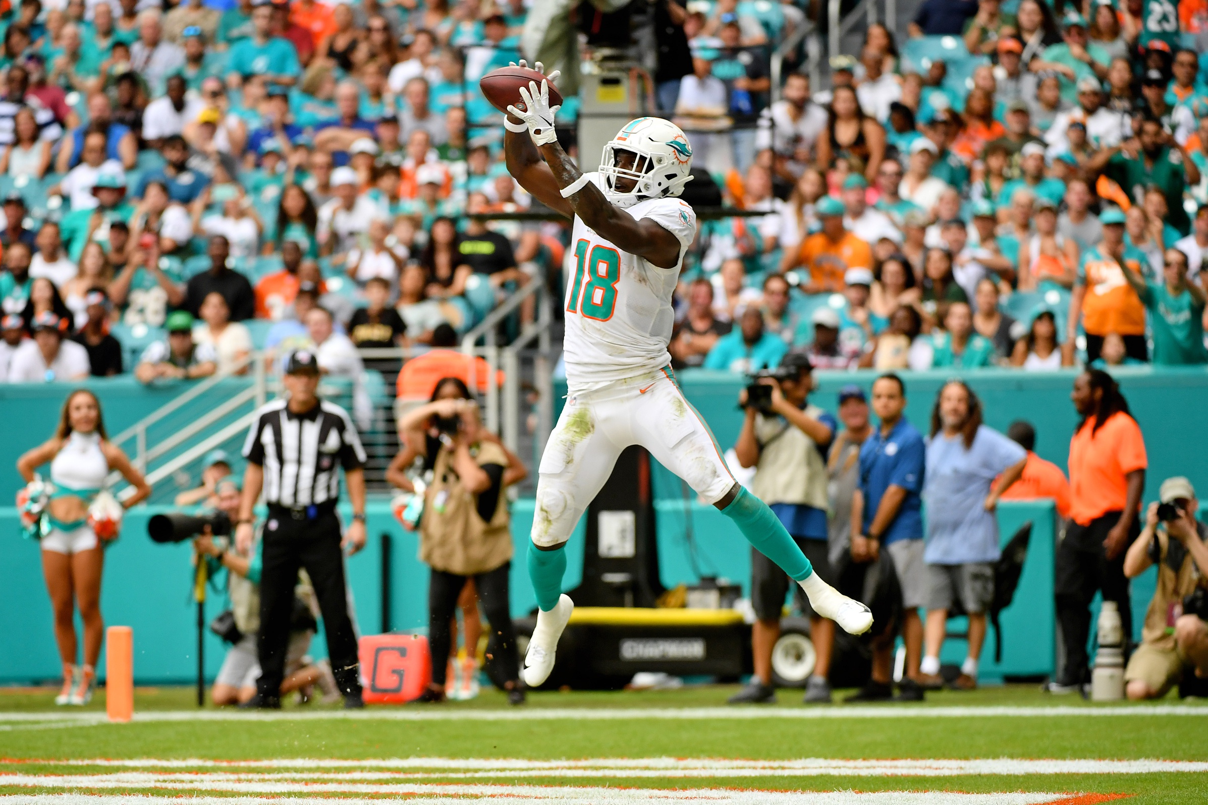 Miami Dolphins WR Jarvis Landry, LT Branden Albert added to Pro Bowl - ESPN  - Miami Dolphins Blog- ESPN