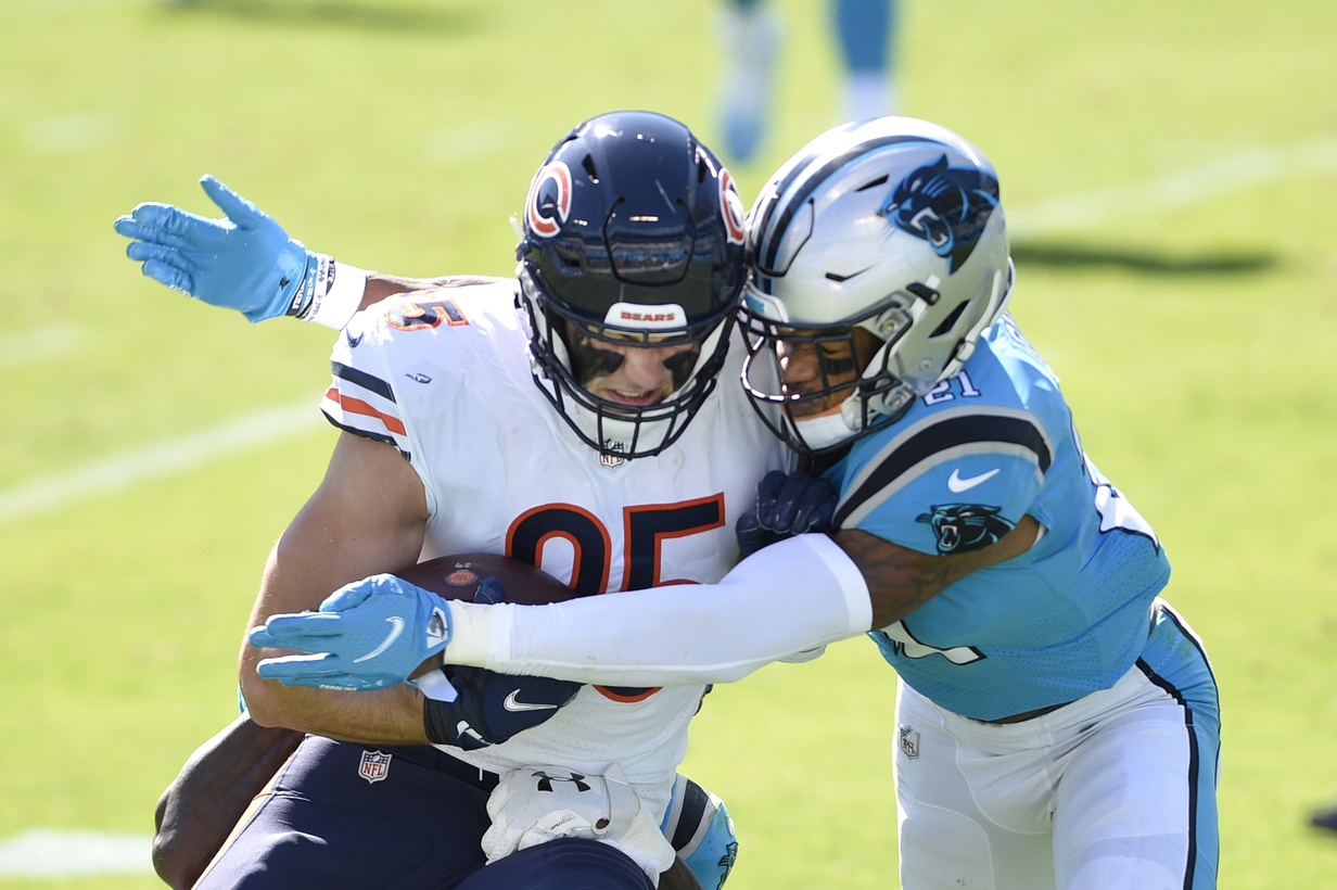 Foles, stingy defense lead Bears past Panthers 23-16 Bears Carolina Panthers  Nick Foles Charlotte AP