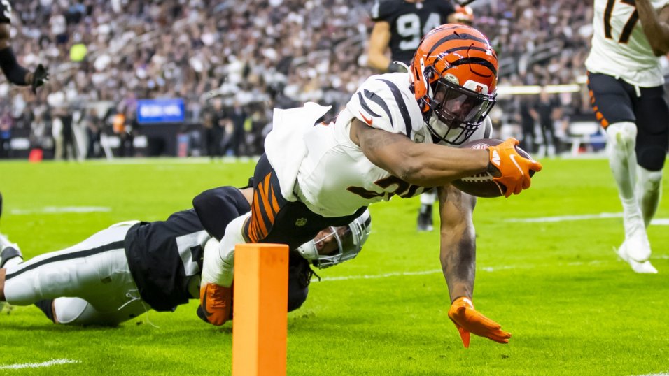NFL Week 11 Game Recap: Cincinnati Bengals 32, Las Vegas Raiders 13, NFL  News, Rankings and Statistics