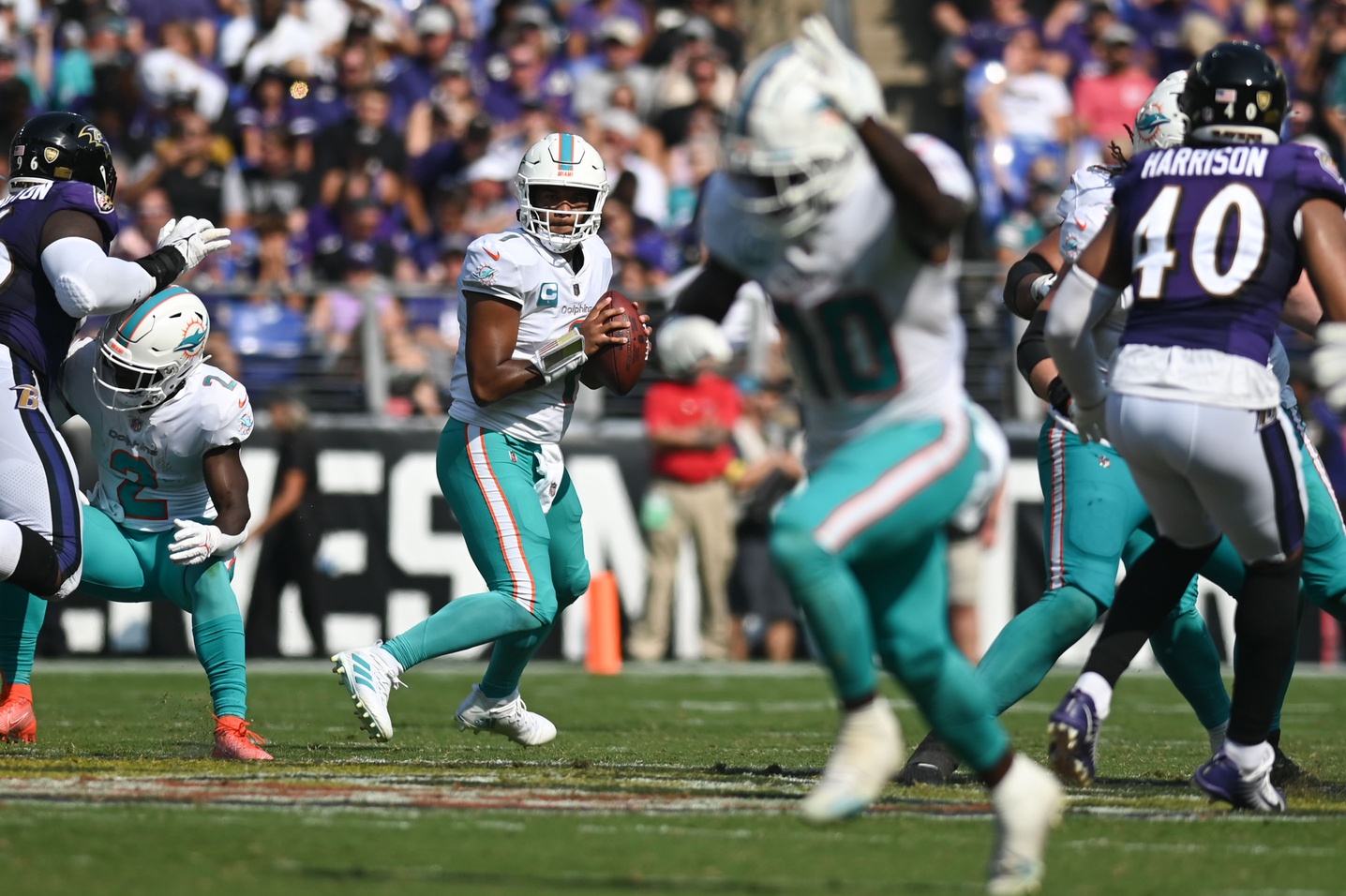 bet-nfl-week-13-alt-spread-leveraging-tails-tua-dolphins-49ers