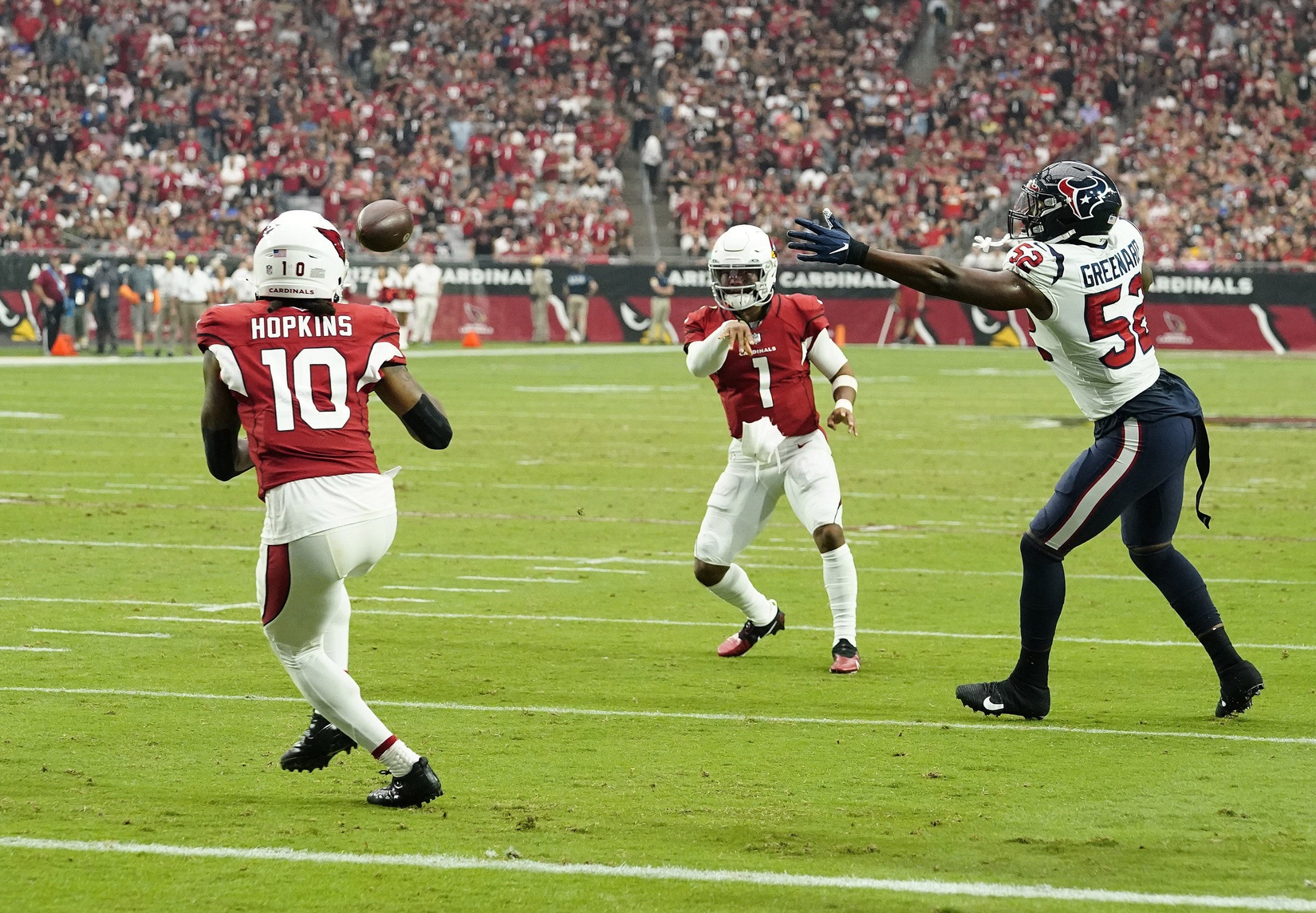 bet-nfl-week-14-live-betting-strategy-new-england-patriots-arizona-cardinals-miami-dolphins-los-angeles-chargers-minnesota-vikings-detroit-lions