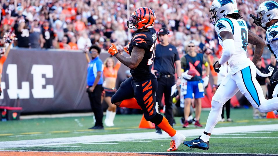 NFL Week 9 Fantasy Football Recap: Cincinnati Bengals vs. Carolina Panthers, Fantasy Football News, Rankings and Projections