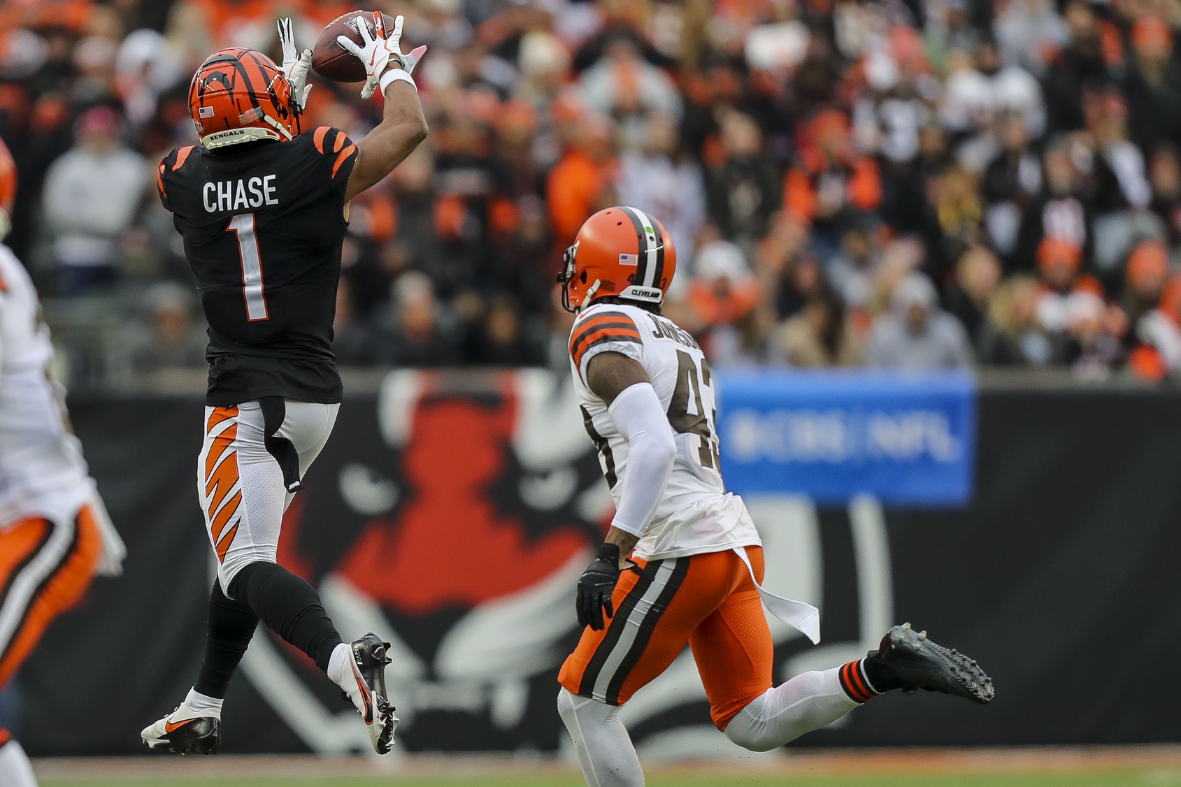 PFF grades for Cleveland Browns players after their performance against the  Bengals released 