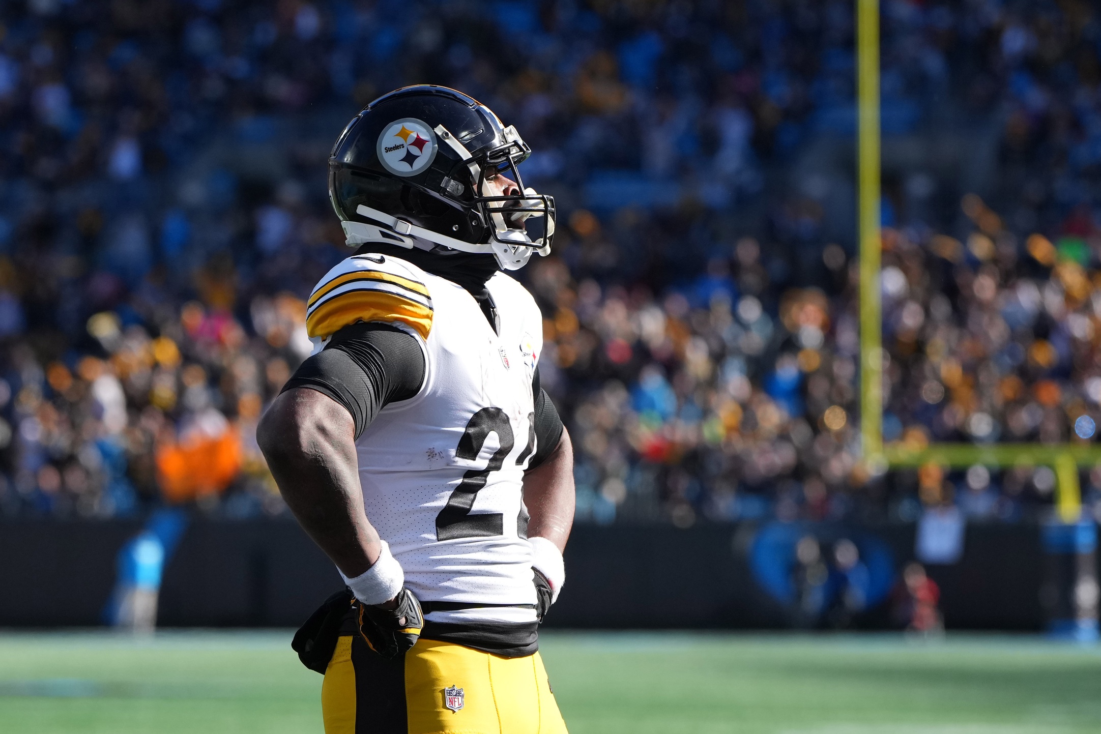 nfl-week-15-game-recap-pittsburgh-steelers-24-carolina-panthers-16
