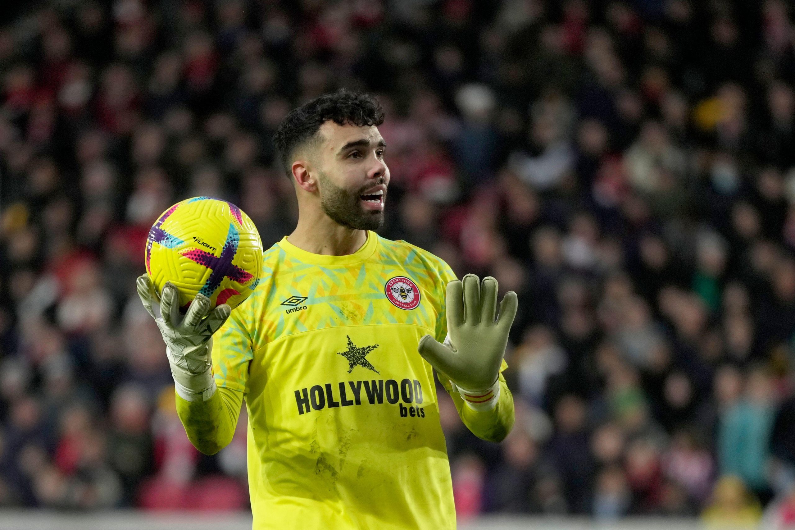 Brentford goalkeeper David Raya