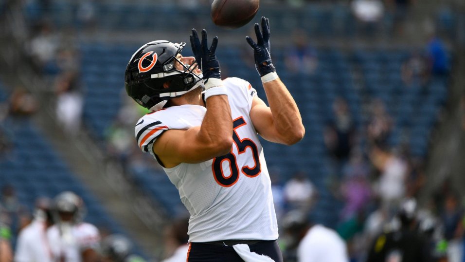 Best Tight Ends Fantasy 2022