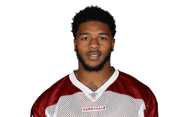 Sherman Badie, Arizona Cardinals HB, NFL and PFF stats