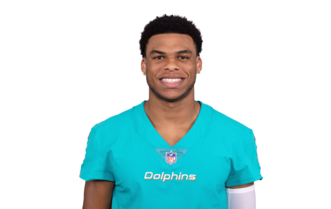 miami dolphins hamilton