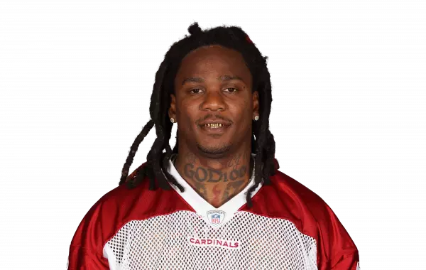 Chris Johnson Arizona Cardinals HB NFL and PFF stats