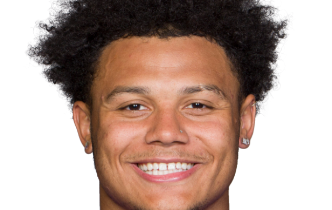 Ivan Pace Jr., Minnesota Vikings LB, NFL and PFF stats